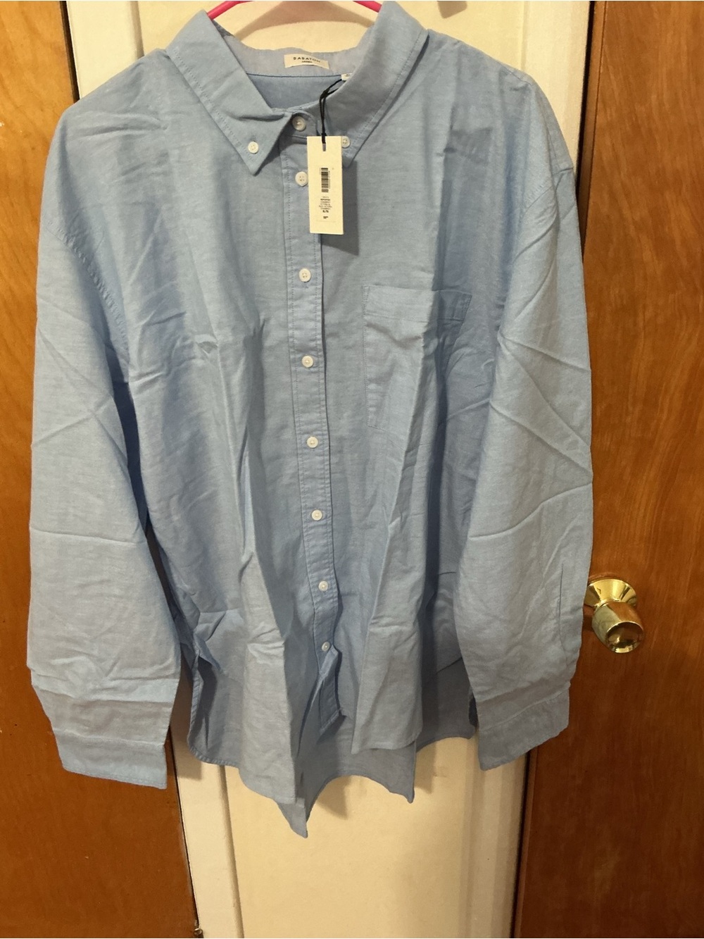 Aritzia Light Blue Button-Down Shirt